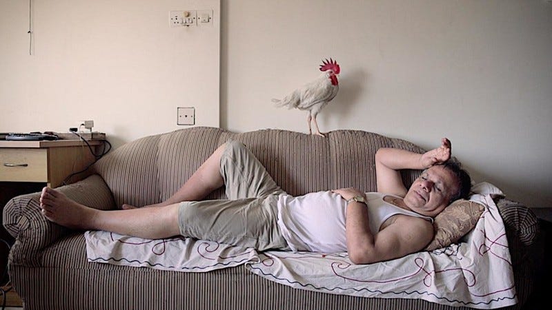 Tungrus (2018) | MUBI