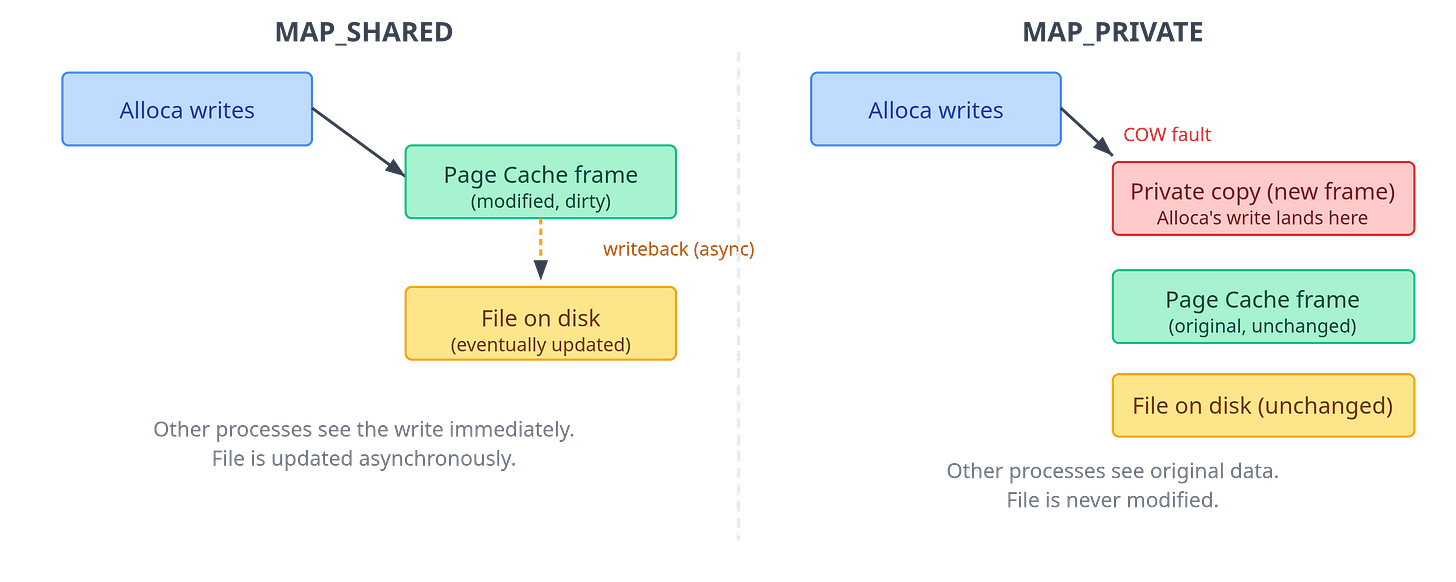Figure 10: MAP_SHARED vs. MAP_PRIVATE write semantics. With MAP_SHARED,
writes go into the shared page cache and are flushed to disk asynchronously.
With MAP_PRIVATE, the first write triggers a COW fault; the process gets a
private copy that diverges from both the file and other
processes.