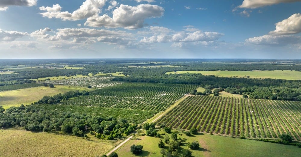 Securing Florida's Future: The Importance of Funding Land Conservation  Programs - The Mitigation Banking Group