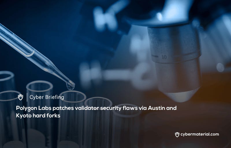 Polygon Patches Validator Security Vulnerabilities