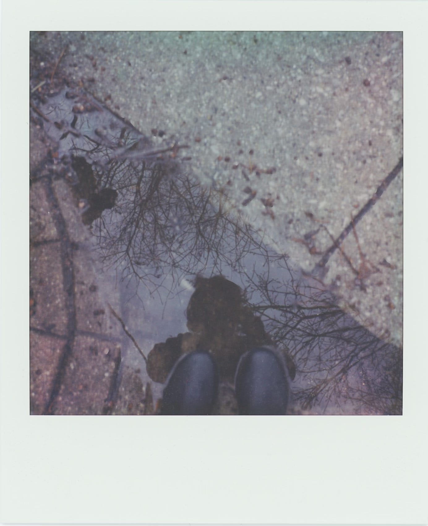 image descriptions can be found in the audio. 