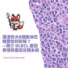 瀰漫性大B細胞淋巴瘤要如何拆解?—簡介 DLBCL 基因表現與基因分類系統