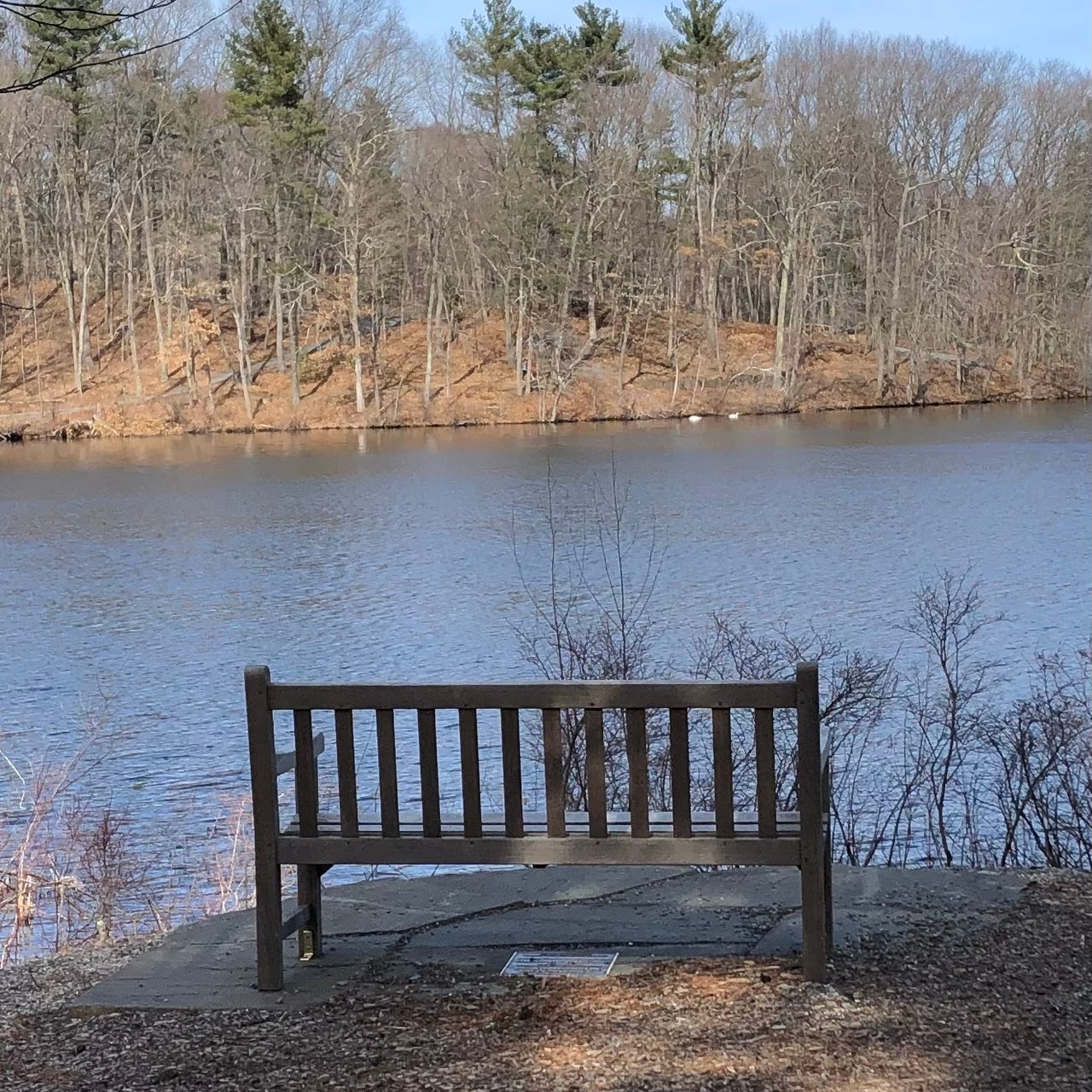 Life-Giving Words & Conversations