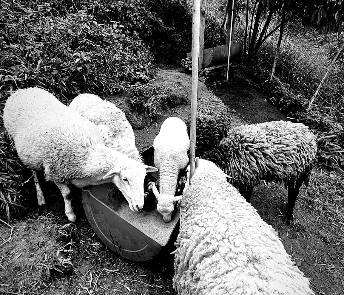 037: Loving What You Have, Having What You Love! 037: Loving What You Have, Having What You Love!