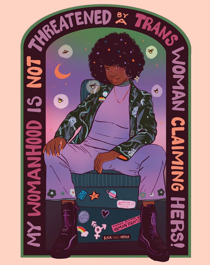 Two illustrated posters by Liberal Jane. The first shows a Black woman in lavender and green with the message, “My womanhood is not threatened by a trans woman claiming hers.” The second depicts a diverse group of people behind a sign that reads, “I don’t know how to convince you to care about other people.”