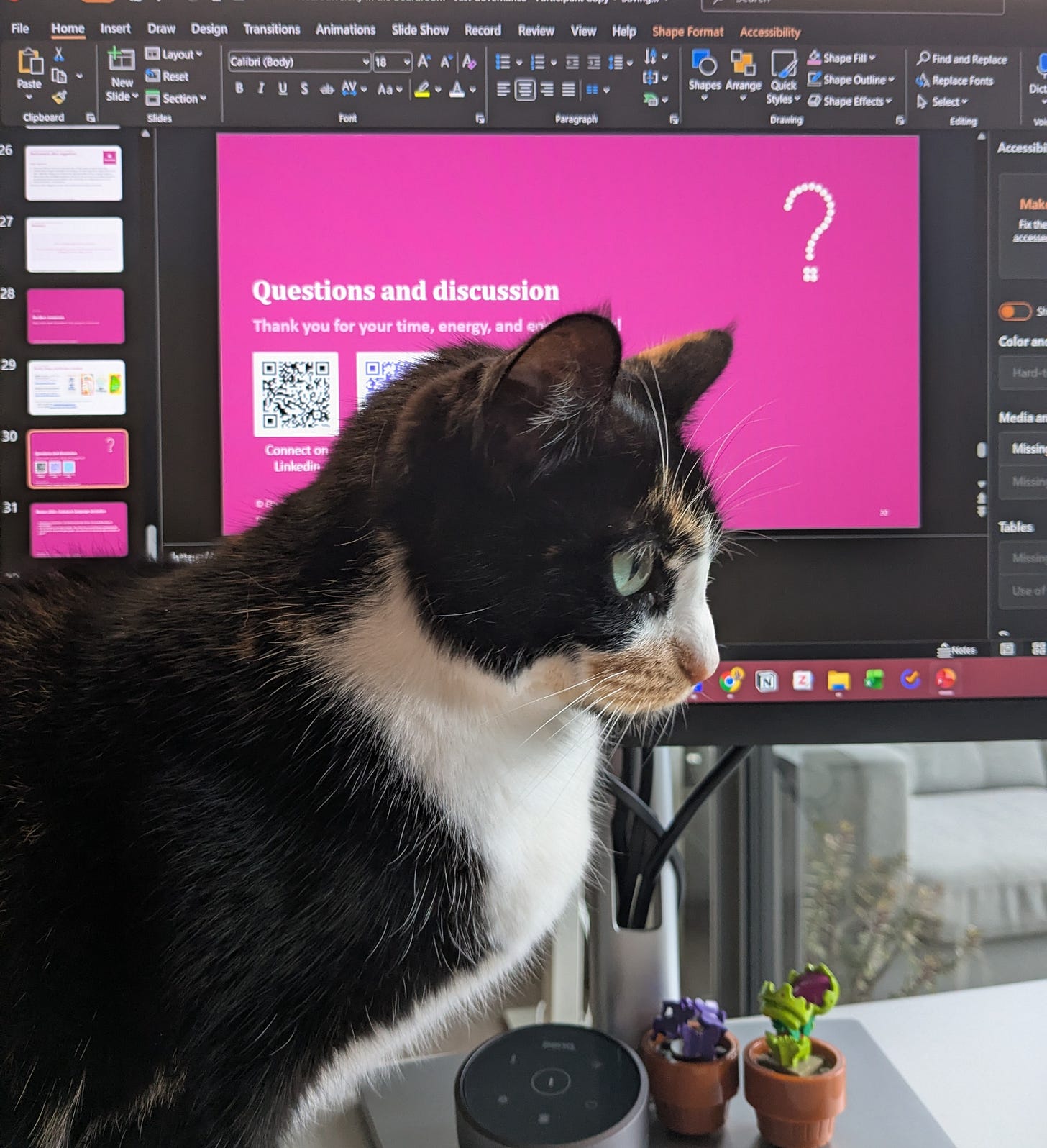 A cat sits frustratingly in front of a computer screen obscuring the user's view of the Powerpoint editing interface.