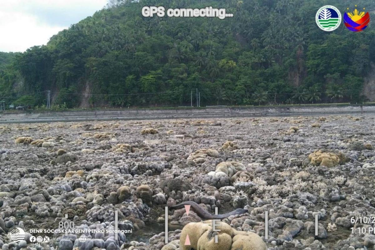Photo provided by the DENR regional office shows dead corals following the coastal uplift in Sarangani days after the magnitude 7.8 earthquake.
Photo provided by the DENR regional office shows dead corals following the coastal uplift in Sarangani days after the magnitude 7.8 earthquake.