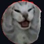 بتول's avatar