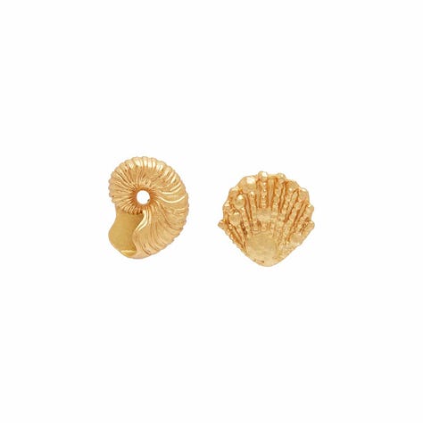 Images of shell accessories