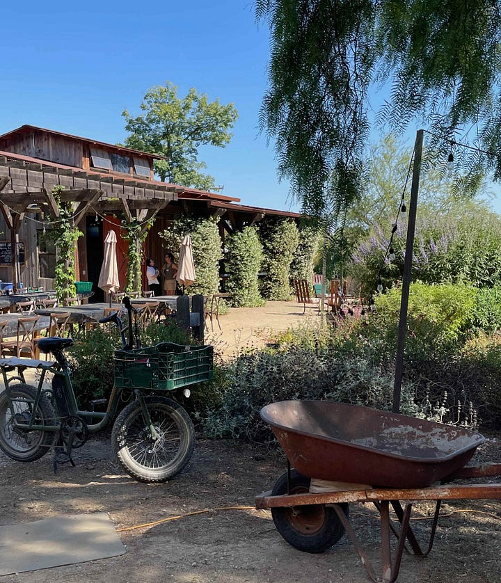 photos of Apricot Lane Farm by Sabrina Simpson