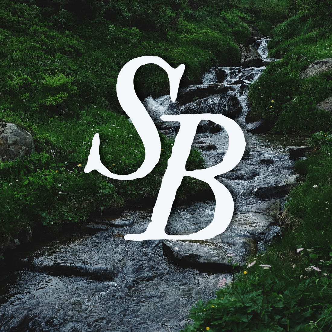 Streams of Being