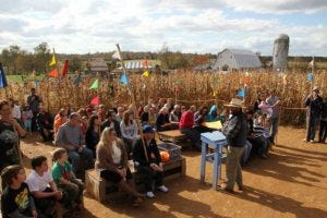 corn maze