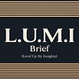 The L.U.M.I. Brief