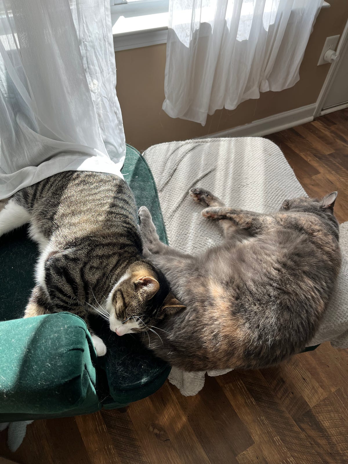 Image item Image item