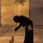 بَوح's avatar