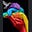 Don "Caz" Freeman's avatar