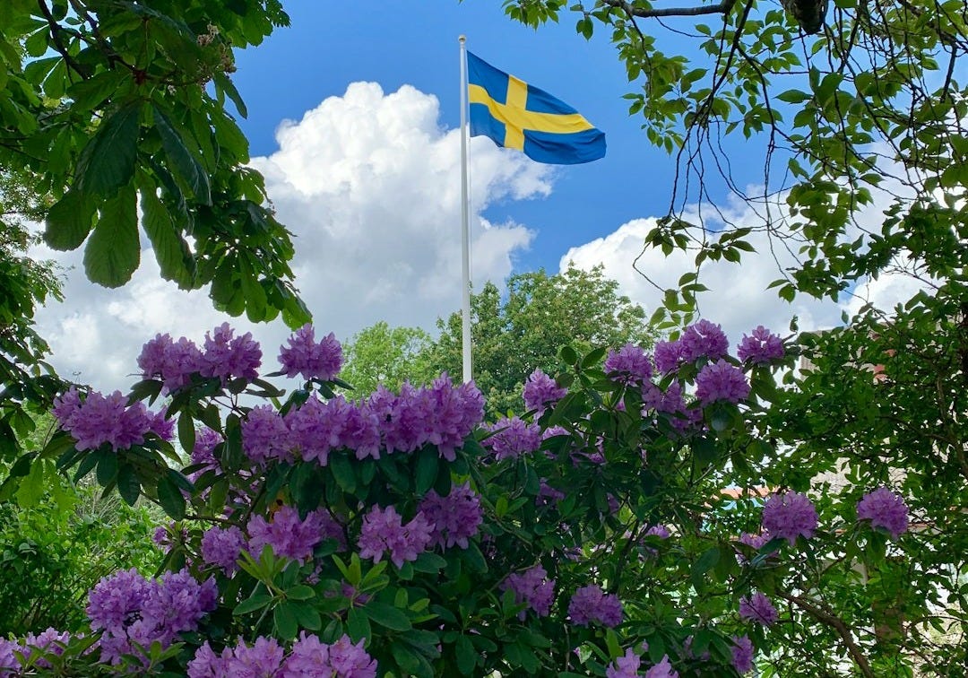 blue flag with yellow cross in the middle near purple flower bushes blue flag with yellow cross in the middle near purple flower bushes