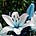 lily of heaven's Substack