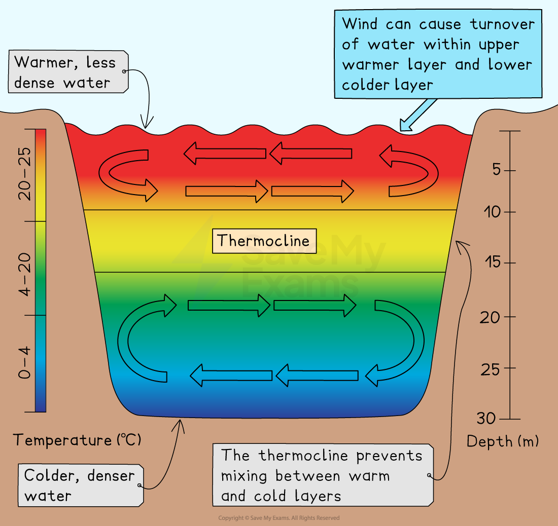 Water Stratification - IB ESS Revision Notes