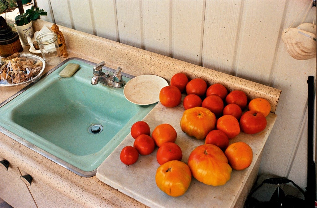 William Eggleston | Associazione Fotografica Verona OFF