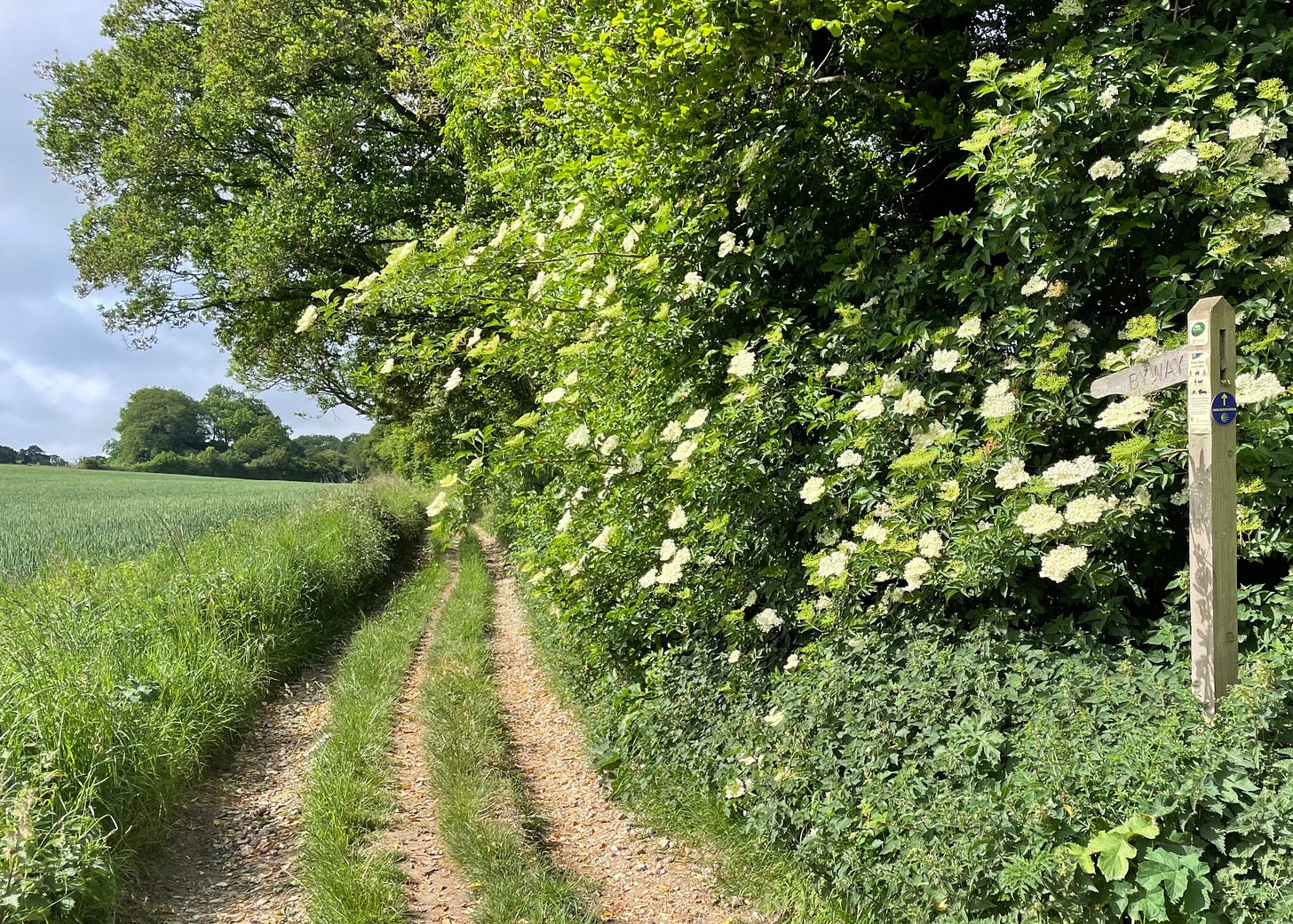 A deserted byway in Berkshire