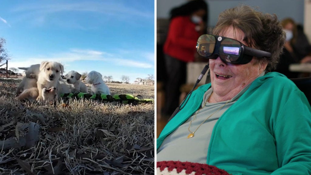 Image of puppies being seen virtually by woman wearing virtual reality goggles.