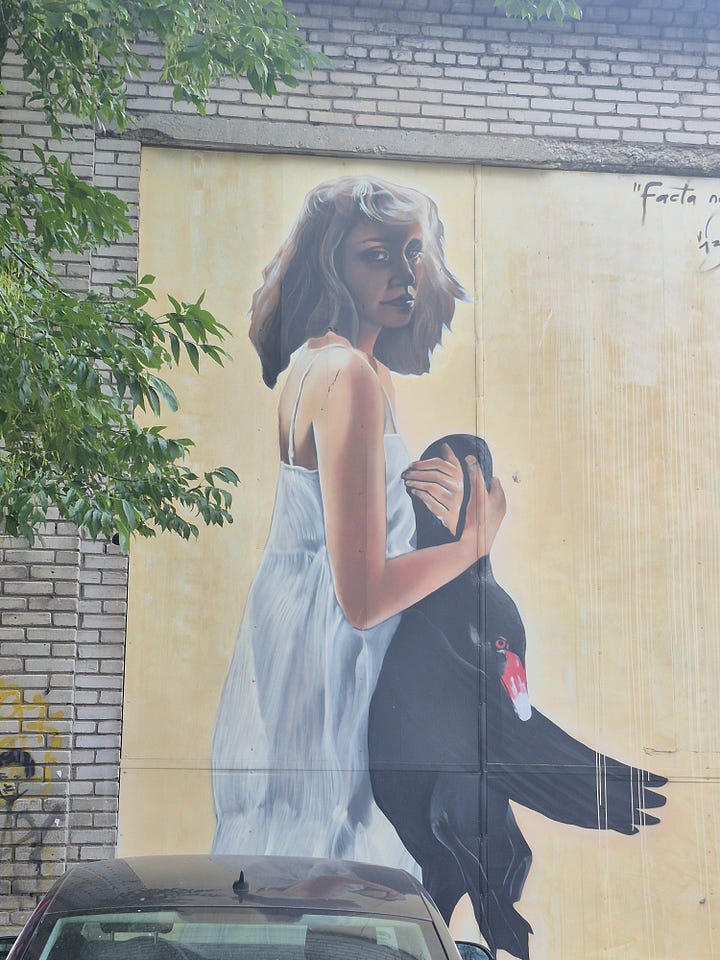 Photos from my travels in Estonia, Latvia and Lithuania