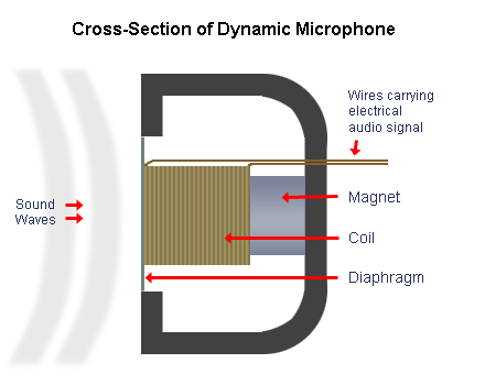 Dynamic Microphone Dynamic Microphone