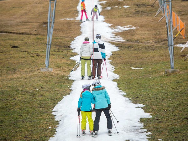 Skifahrer auf einem schmalen Streifen Schnee umgeben von grüner Wiese.