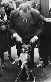 A person in a suit holding a dog

AI-generated content may be incorrect.
