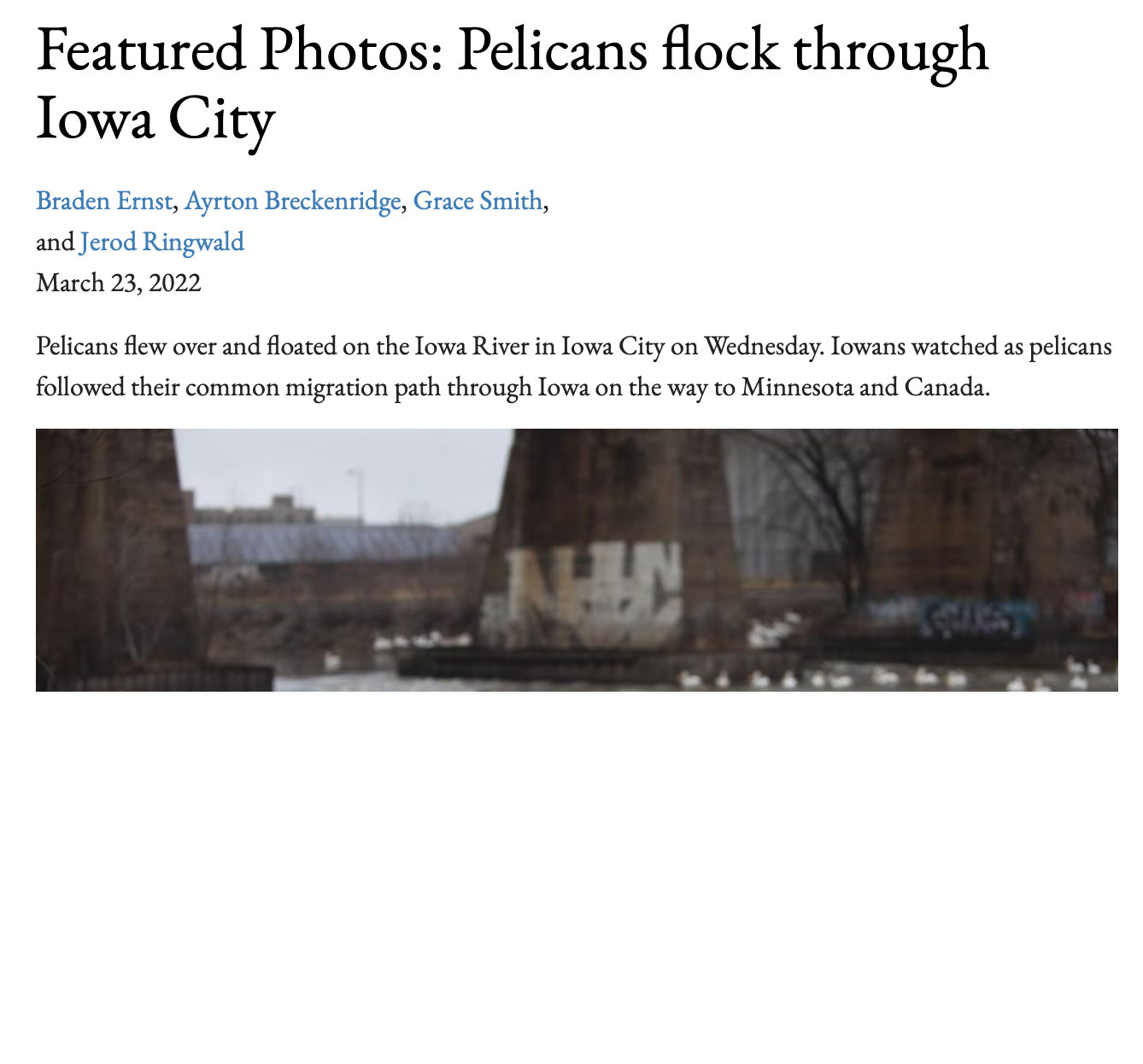 daily iowan pelicans