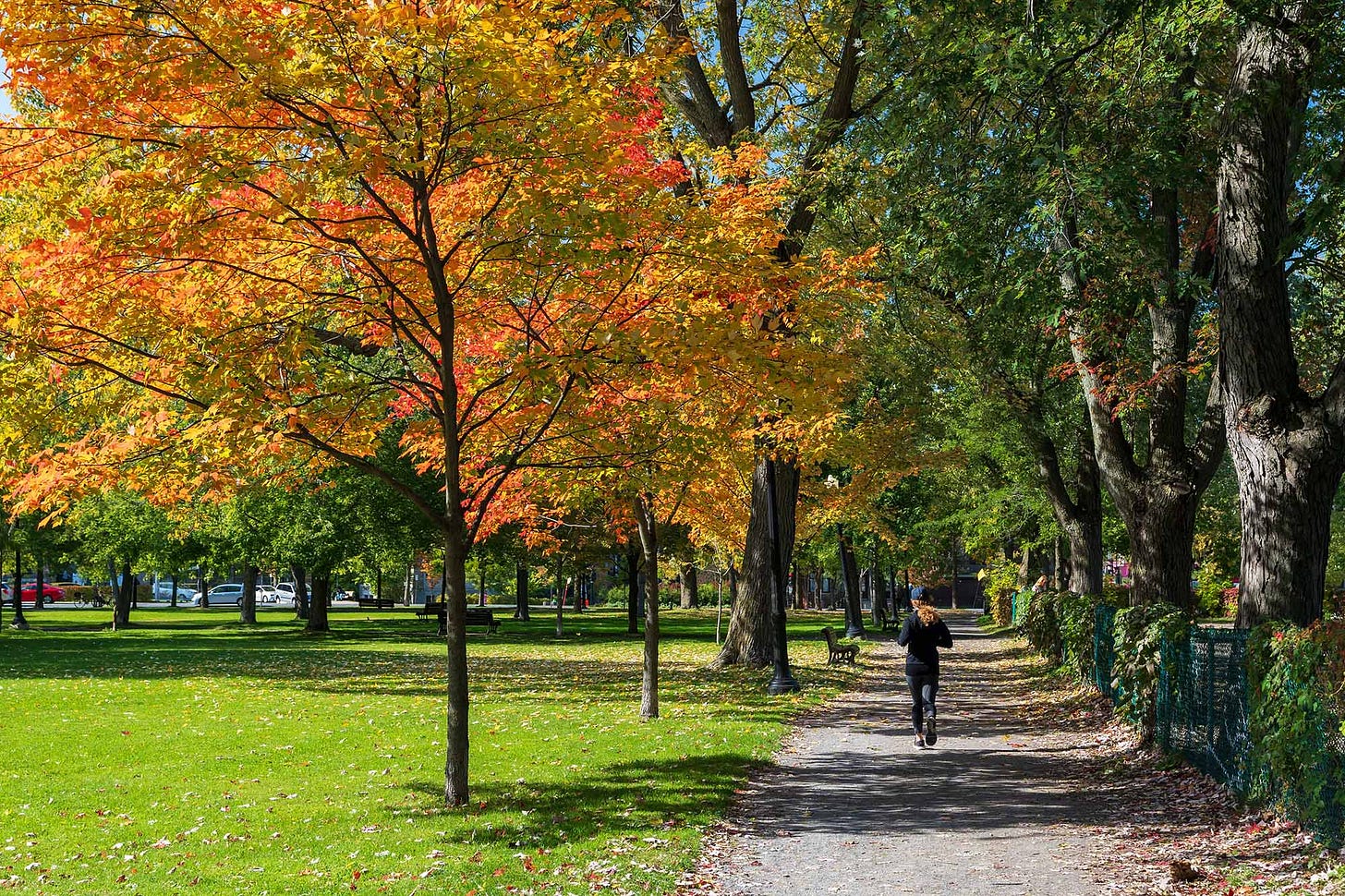 Growing Green Cities: A Practical Guide to Urban Forestry in Canada - Tree  Canada