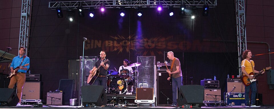 Gin Blossoms at Mayo Civic Center, 2018. Photo by Jonathunder.