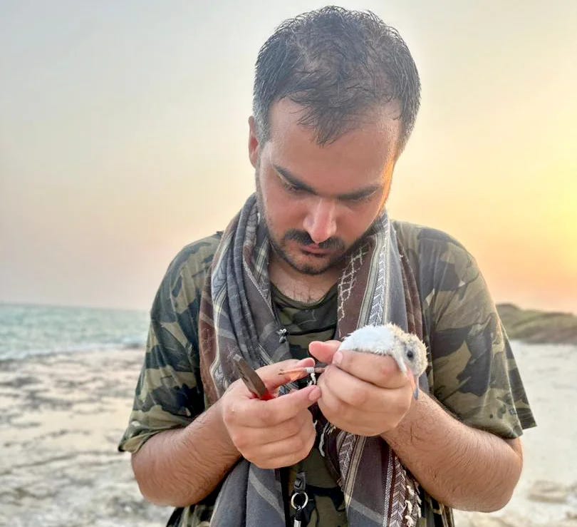 Photo of a man adding a band to the leg of a bird Photo of a man adding a band to the leg of a bird