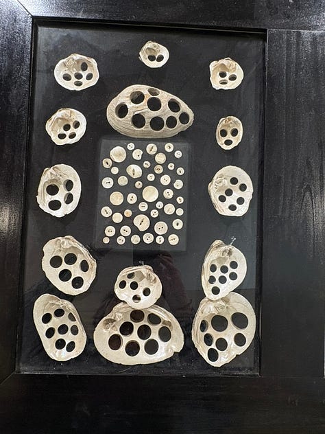 Paddleboat, exhibit, shell buttons