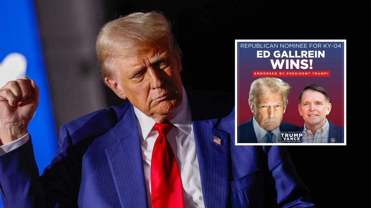 One Party, Under Trump, Indivisible