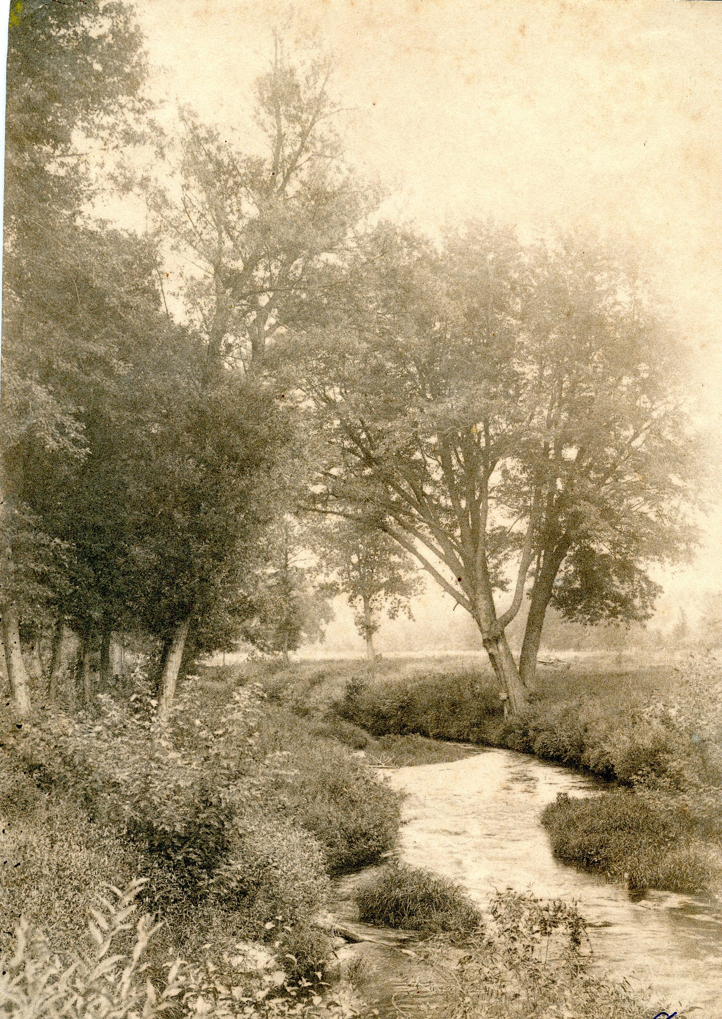 Furnace Brook