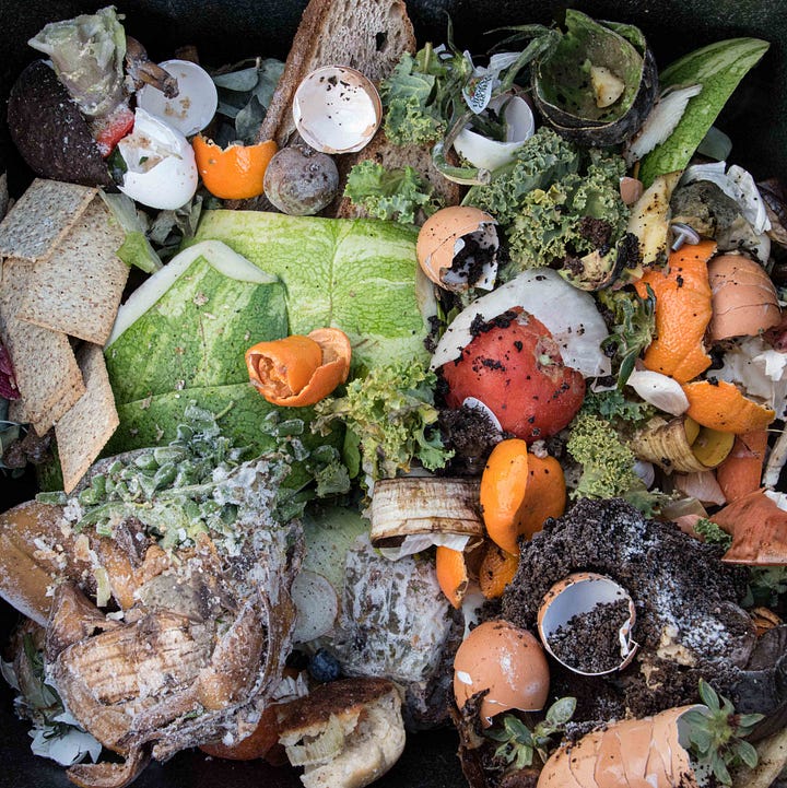Diptych - - Two piles of compost