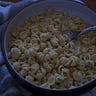 Food Lover's Dispatch