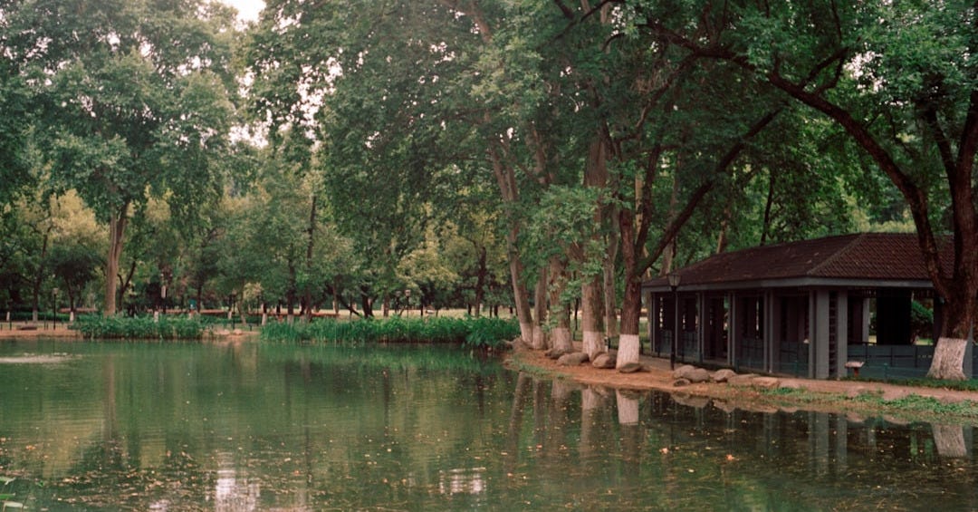 A lake with a small pavilion in the middle of it