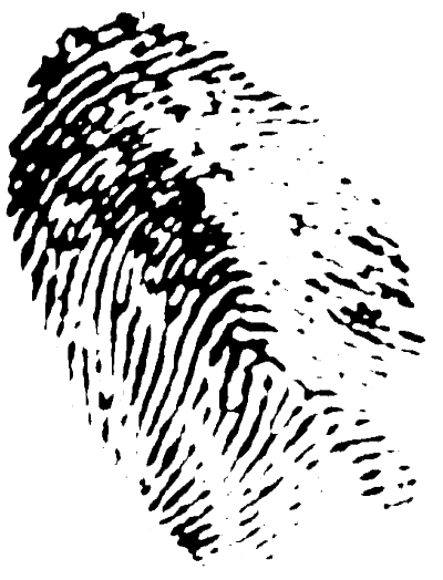 fingerprint