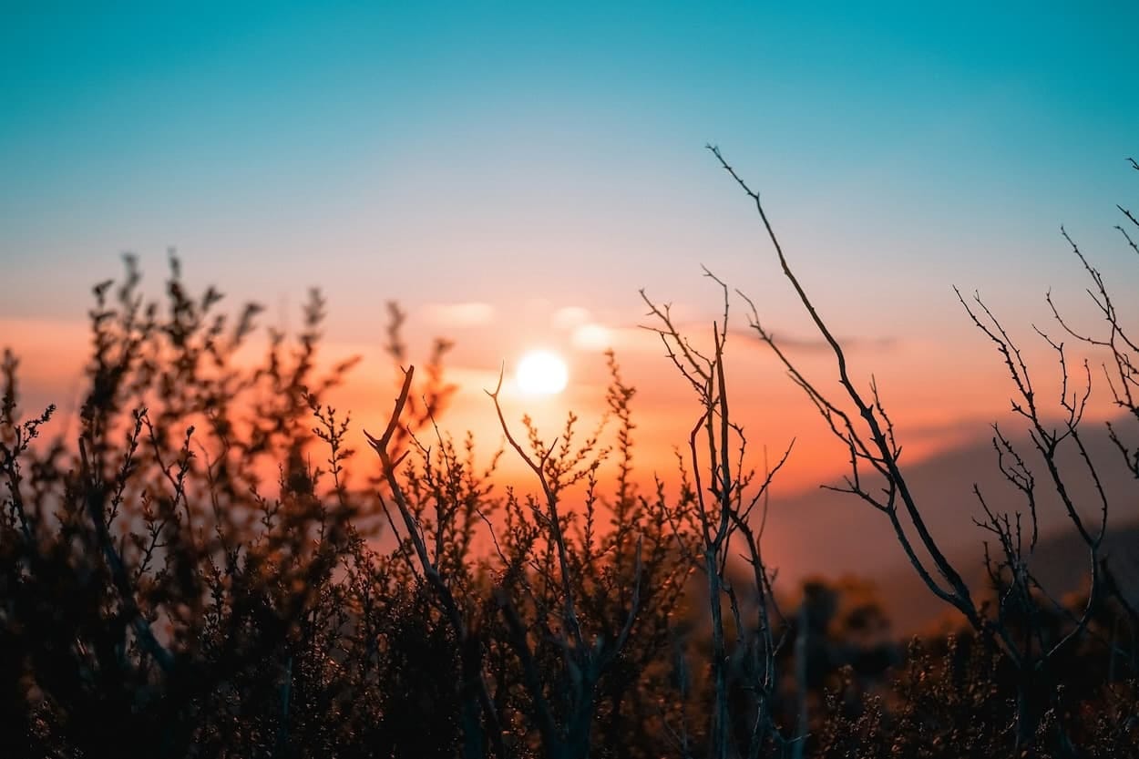 Planning The Perfect Easter Sunrise Service | Tithely