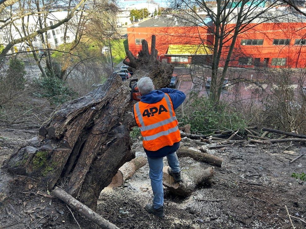 A person in a vest and helmet standing in a tree

Description automatically generated
