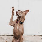 You're asking the wrong question