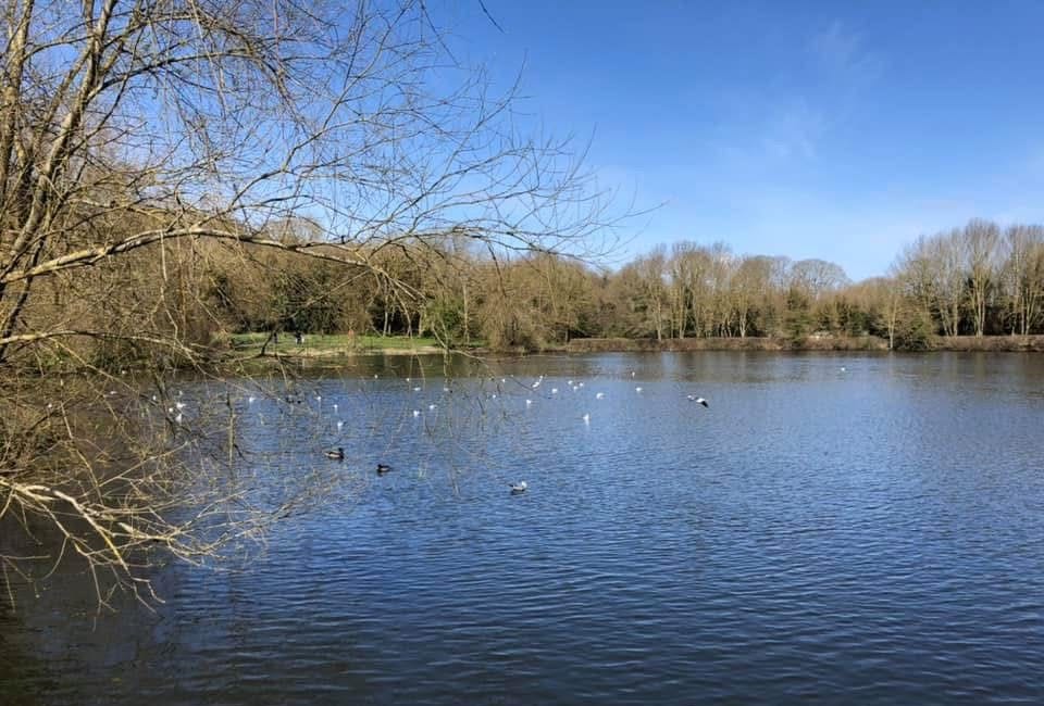 Autumn arrives early