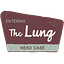 Entering The Lung