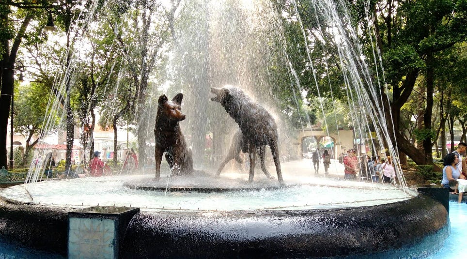 Coyoacan Mexico City guide