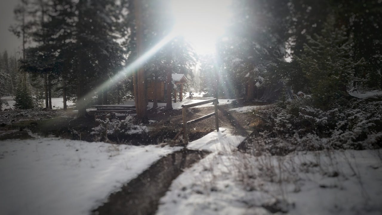Maxy Cabin Weekend