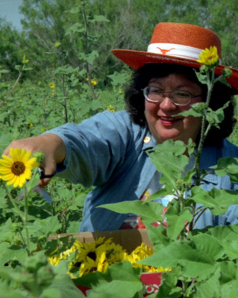 A person in a field of sunflowers

Description automatically generated