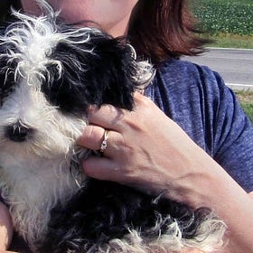 Birthday Buddies: Me, Our Yorkiepoo, and Aries Fun